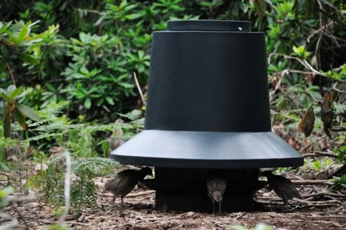 Outdoor 45 Gallon Feed Bin Rain Hat